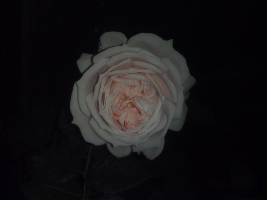 2014-05-22_20-44-02_202.jpg