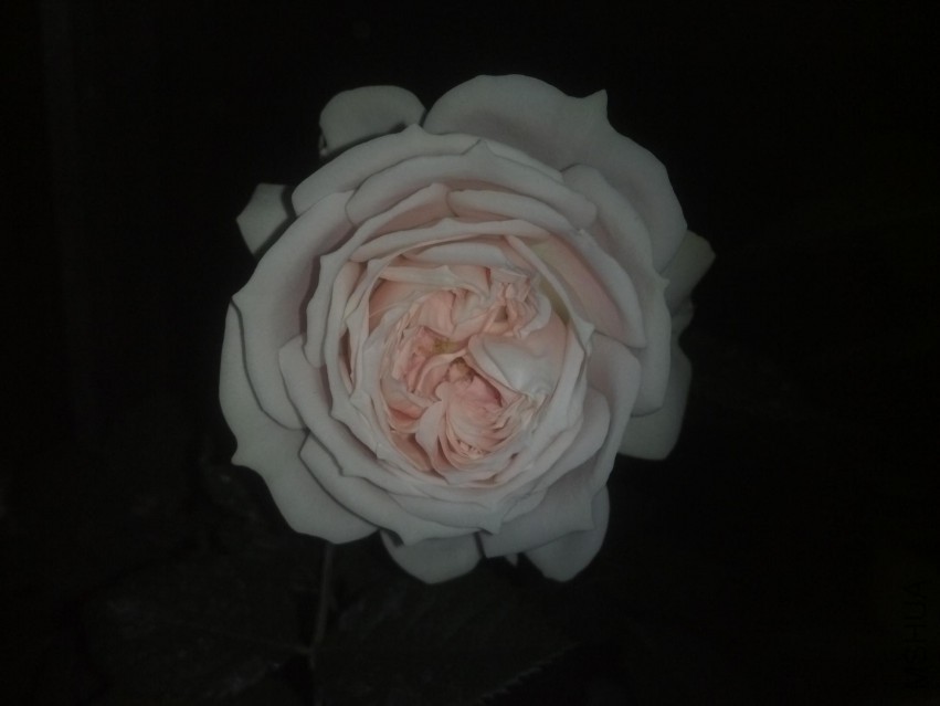 2014-05-22_20-44-15_559.jpg