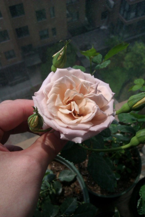 IMAG0719.jpg