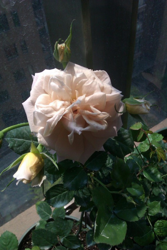 IMAG0729.jpg