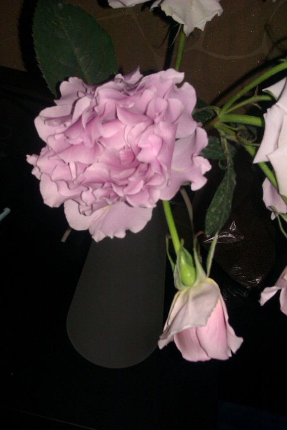 IMAG0738.jpg