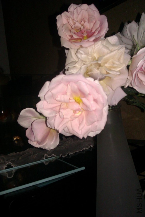 IMAG0739.jpg