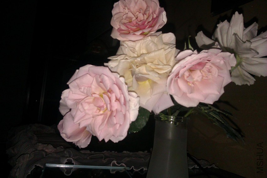 IMAG0740.jpg