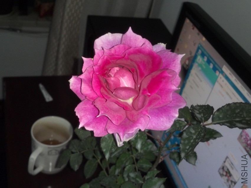2014-12-06_17-16-34_869.jpg