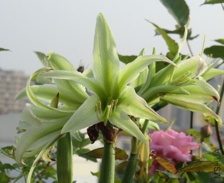 QQͼƬ20150425180440.jpg
