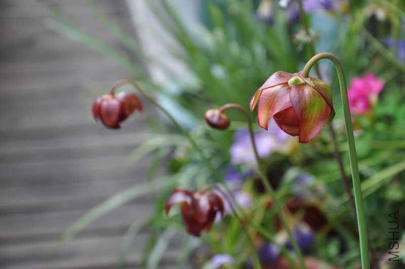 150425ƿ�Ӳ�.JPG