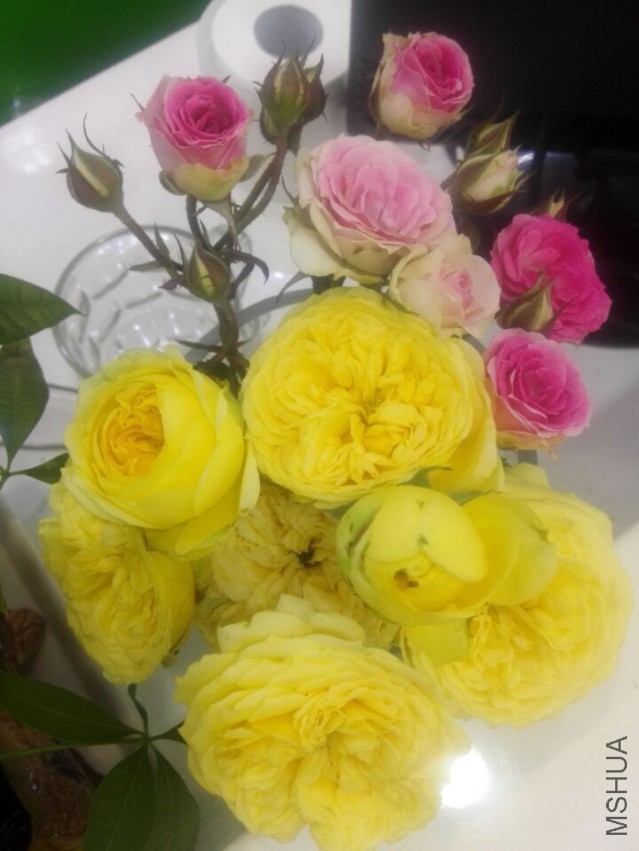 QQͼƬ20150425201030.jpg