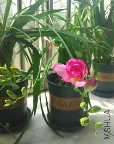 QQͼƬ20150425203559.jpg