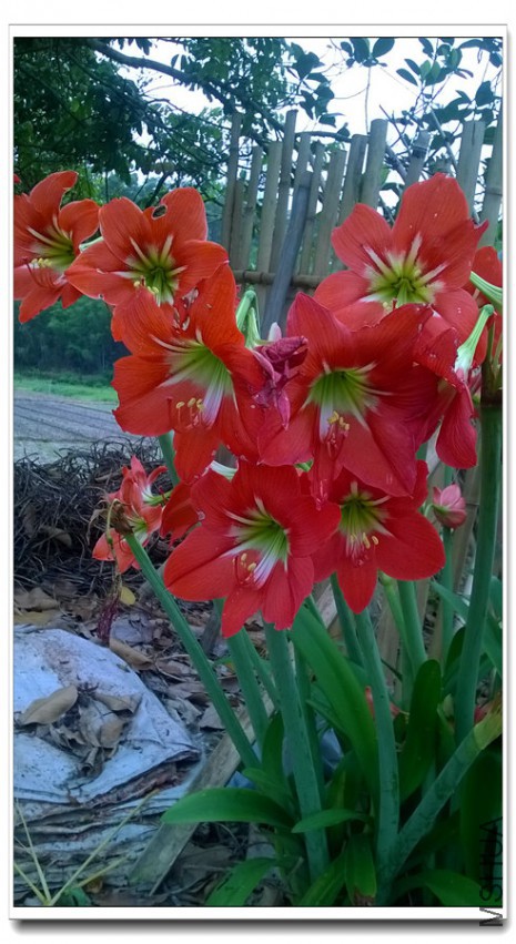 WP_20150330_014_����.jpg