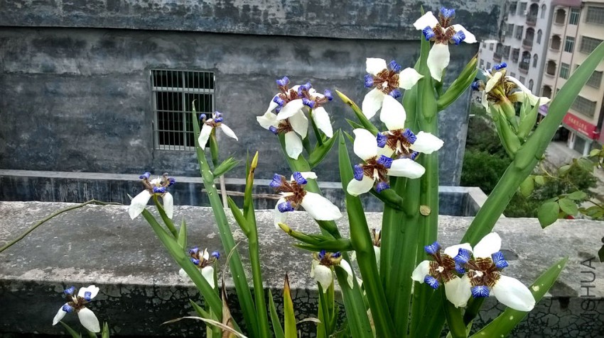 WP_20150408_013_����.jpg