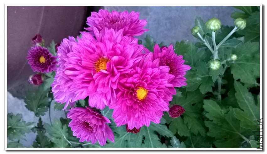 WP_20150424_002_����.jpg