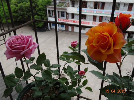 DSC07895.jpg
