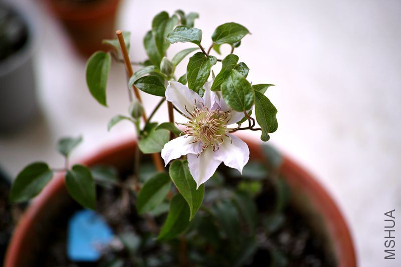 DP3M3841_����.jpg