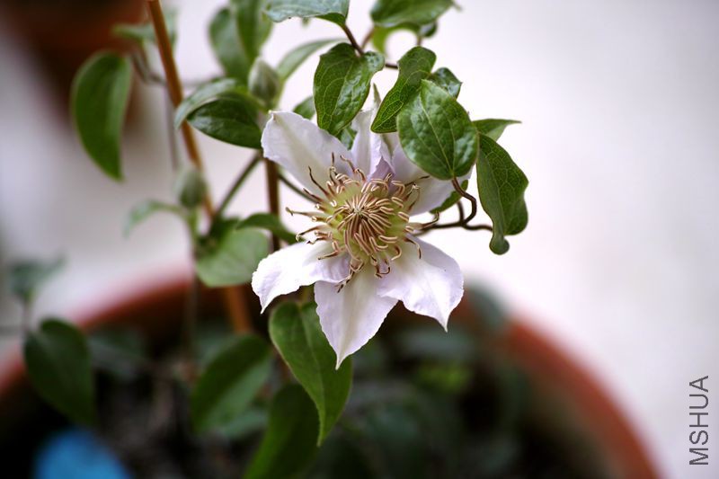 DP3M3840_����.jpg