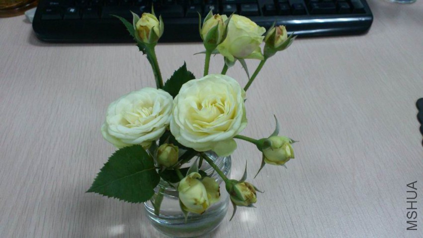 ������С DSC_0920.JPG