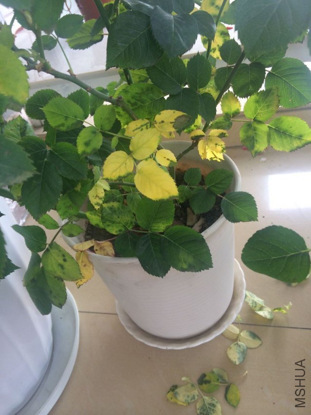 QQͼƬ20150426115707.jpg