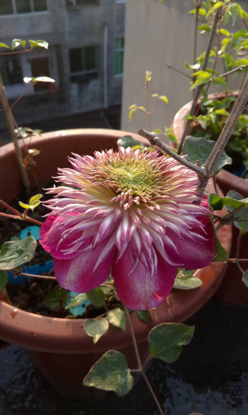 P50413-073755.jpg
