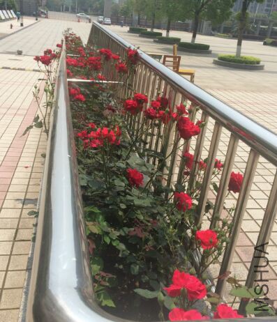 QQͼƬ20150426153942.jpg