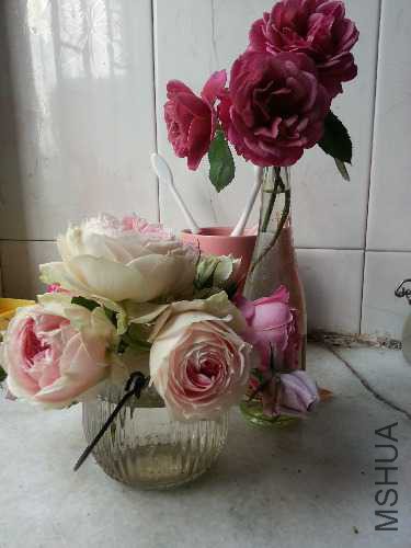20150426_174156.jpg