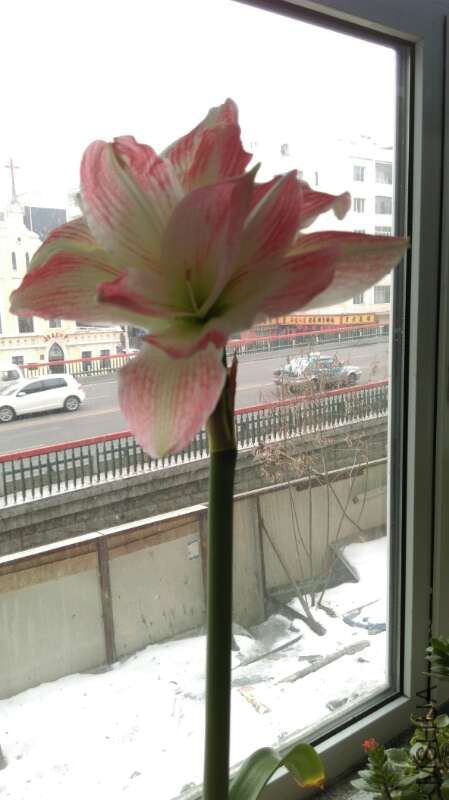 IMG_0250.JPG