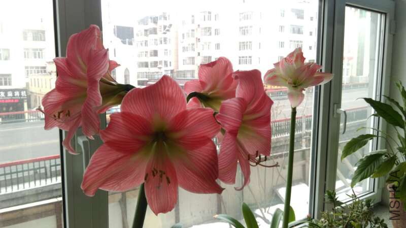 IMG_0256.JPG
