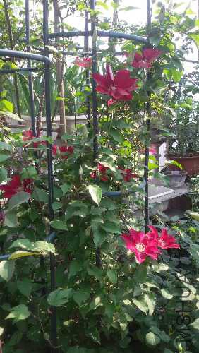 20150425_082817.jpg