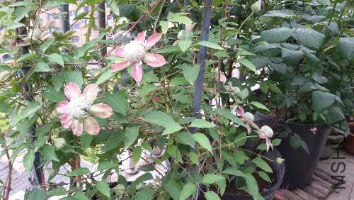 20150424_074622.jpg