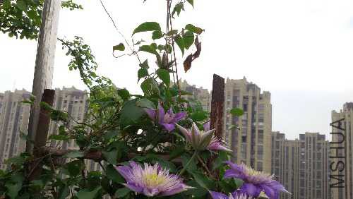 20150424_074639.jpg