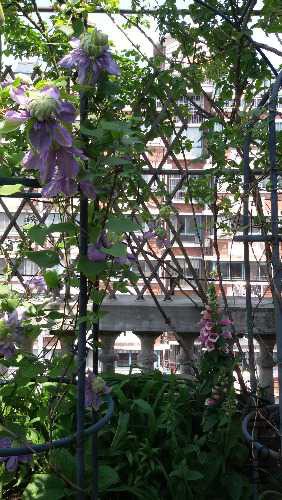 20150423_110830.jpg