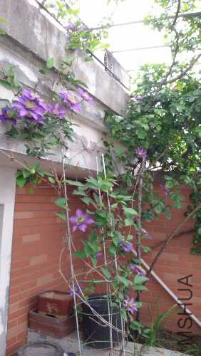 20150424_074345.jpg