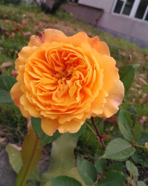 QQͼƬ20150427074000.jpg