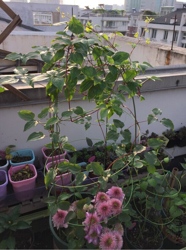 QQͼƬ20150427081412.jpg