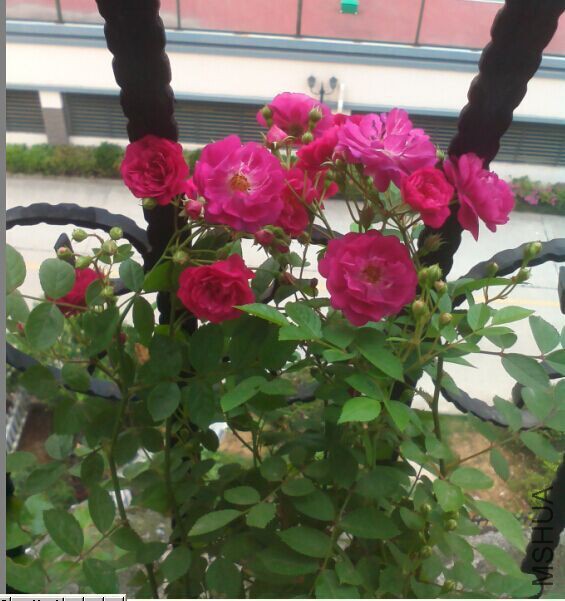 QQͼƬ20150427090349.jpg