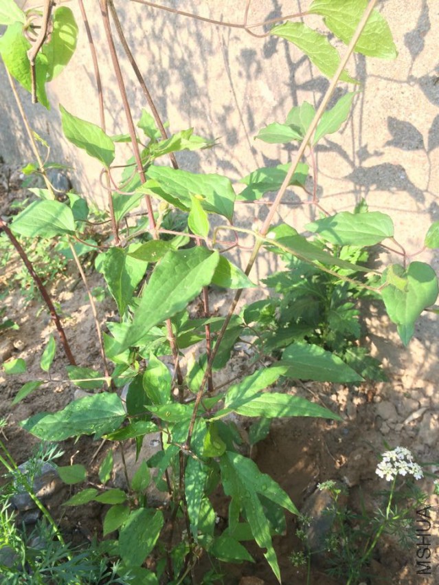 QQͼƬ20150427093625.jpg