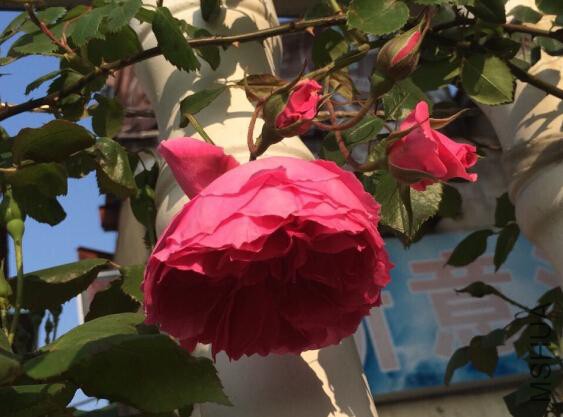 QQ��ͼ20150427094624.jpg