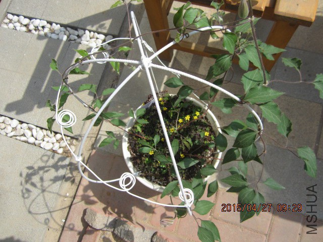 IMG_8244.JPG