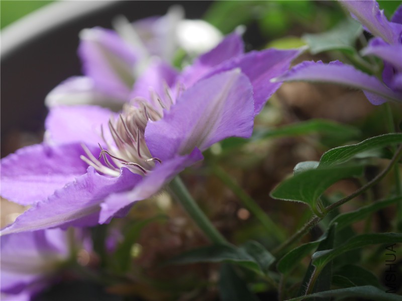 P1000416.JPG