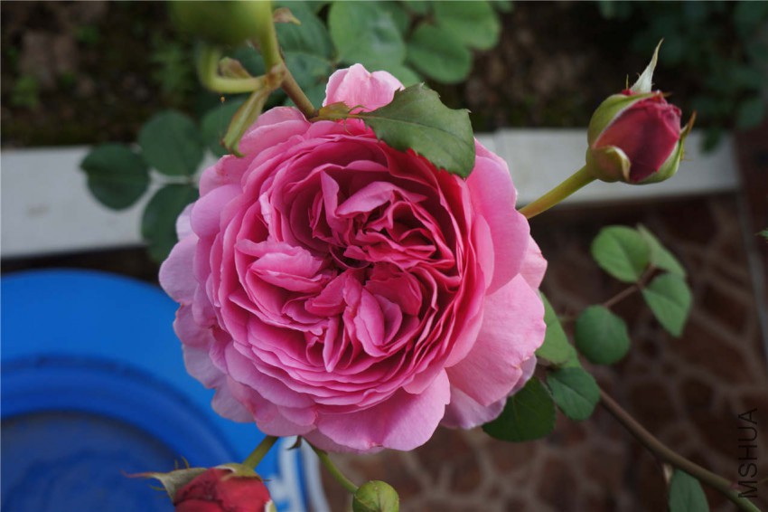 DSC05615.jpg
