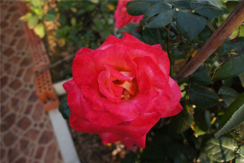 DSC05628.jpg