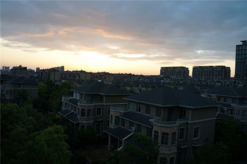 DSC05826.jpg