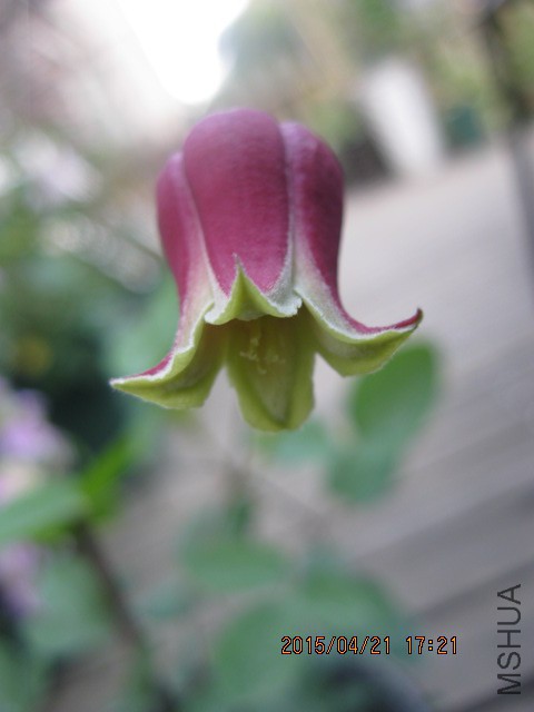 ӣ�Ҵ�