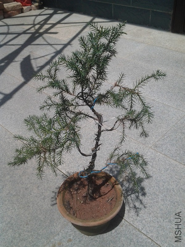 2015-04-23 12.11.11.jpg