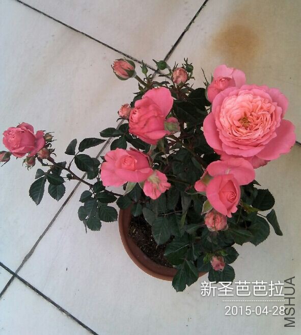 QQͼƬ20150428084624.jpg