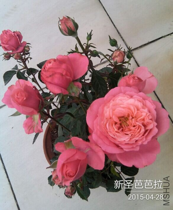 QQͼƬ20150428084644.jpg