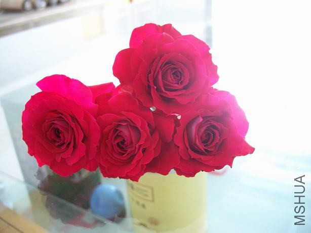100_5578.JPG
