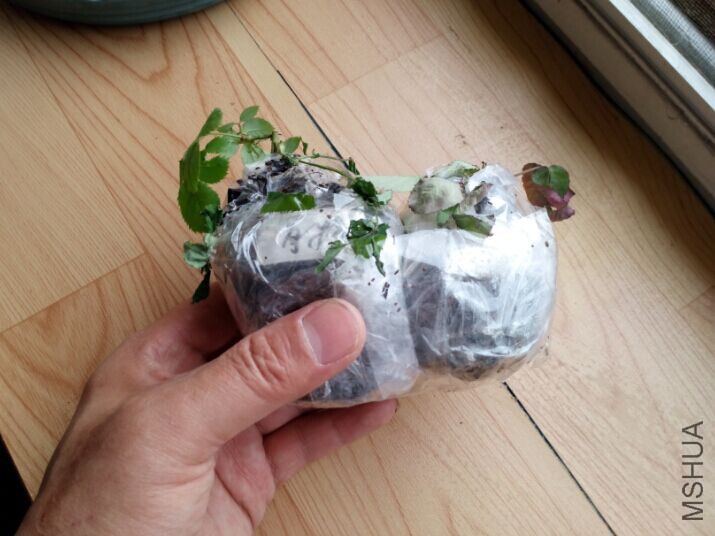 QQͼƬ20150428103157.jpg