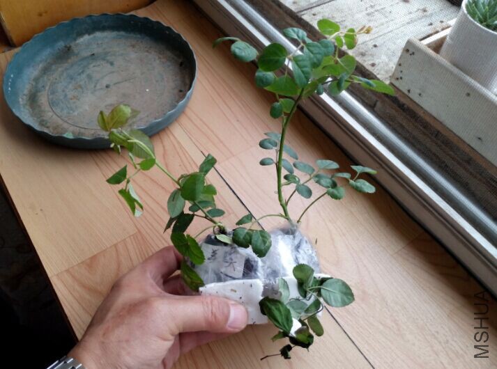 QQͼƬ20150428103123.jpg