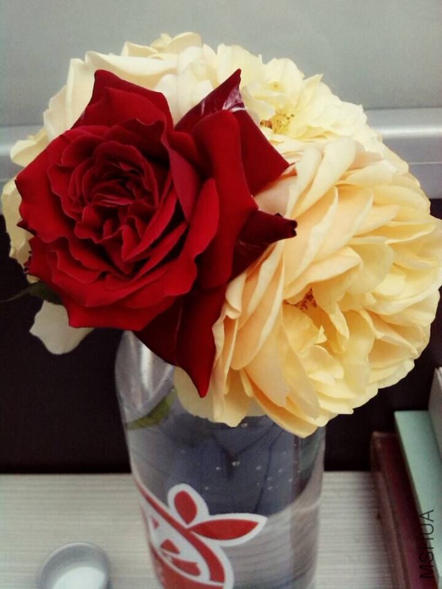 QQͼƬ20150428141413.jpg