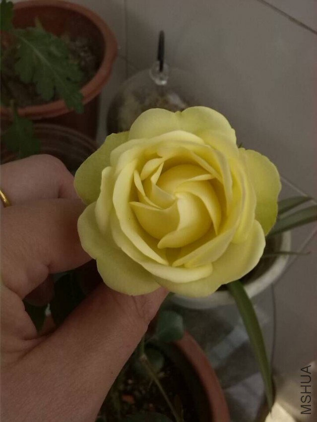 QQͼƬ20150428141421.jpg