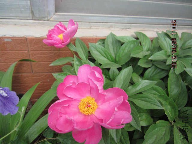 IMG_9560.JPG